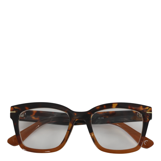 Brille / Lesebrille verschiedene Dioptrien