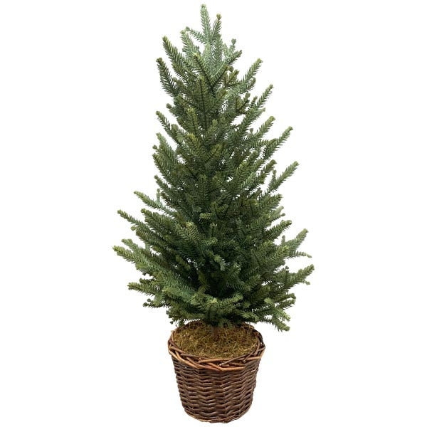 Tannenbaum Kunstpflanze