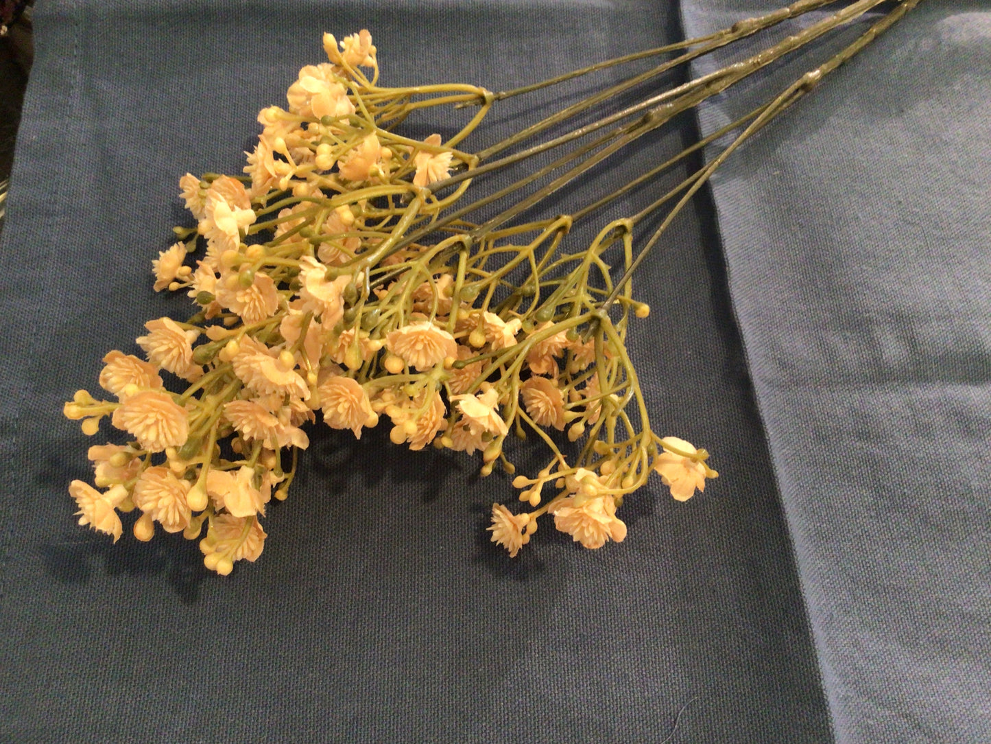 Gypsophilia Creme