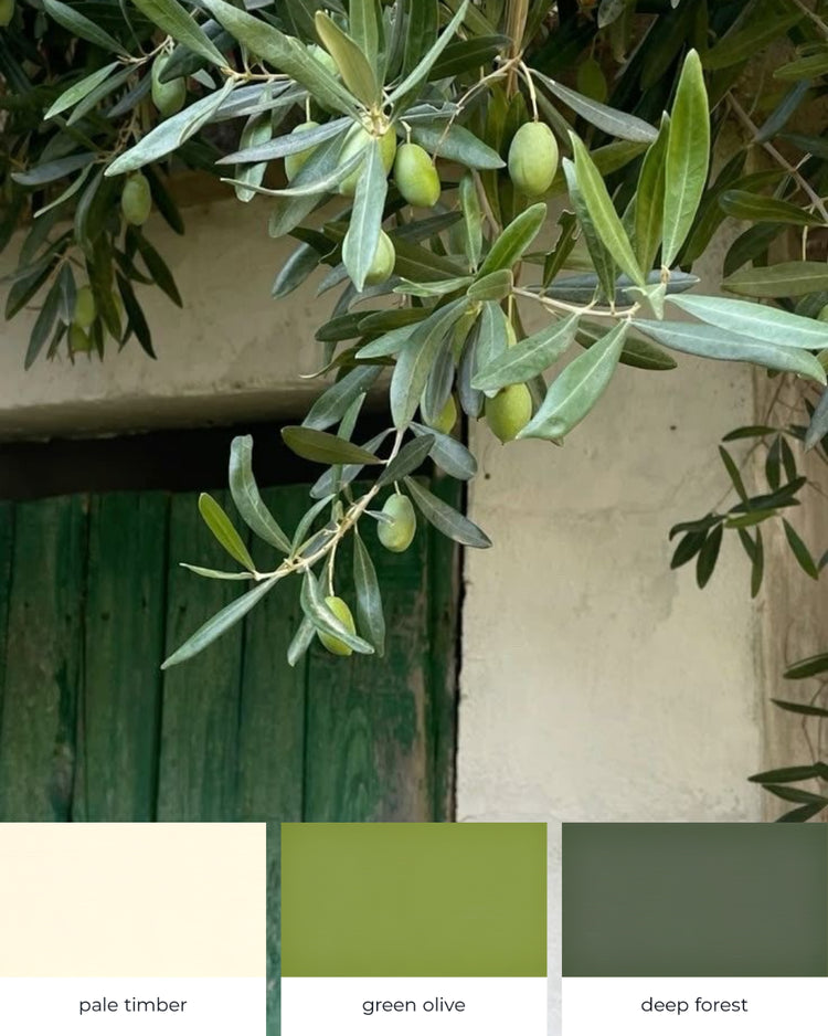 green olive