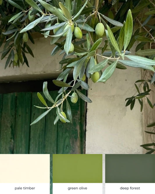 green olive