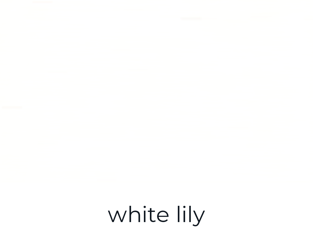 white lily