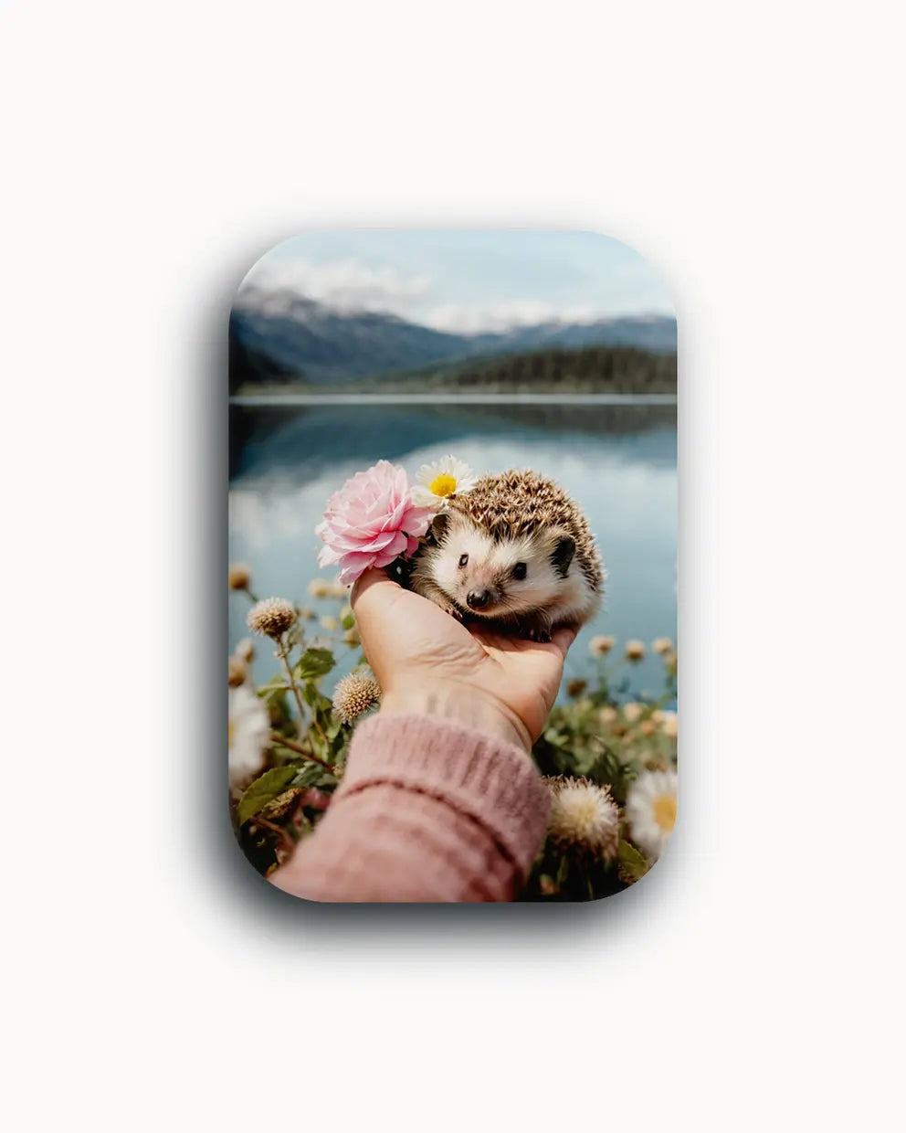 Luna Magnet. Igel