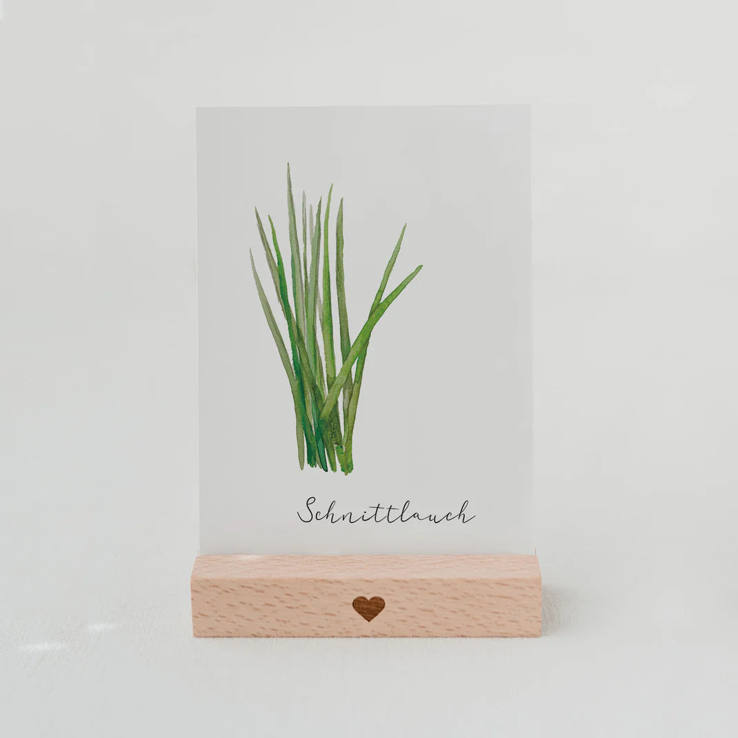 Postkarte Schnittlauch