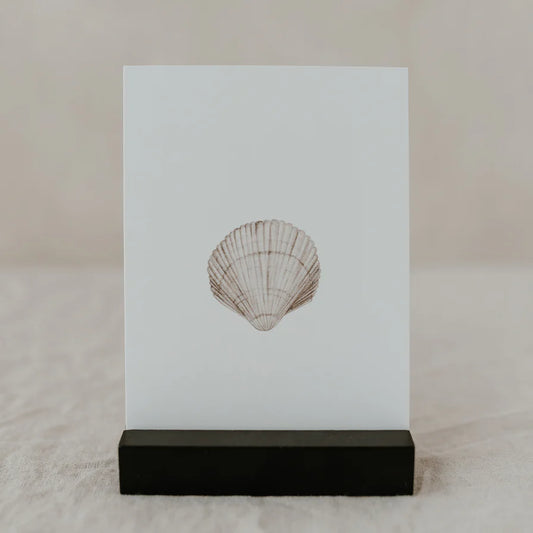 Aquarellkarte "Muschel"