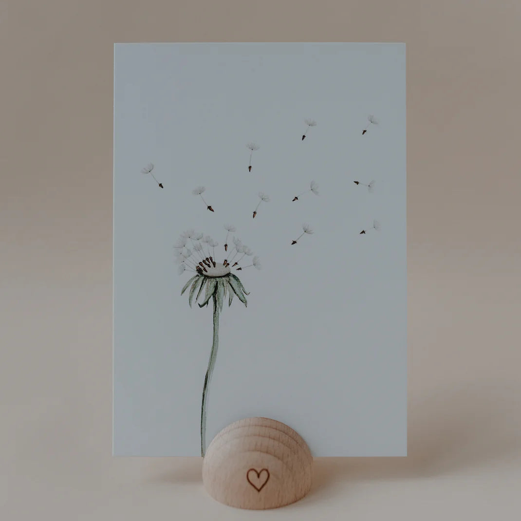 Postkarte Pusteblume