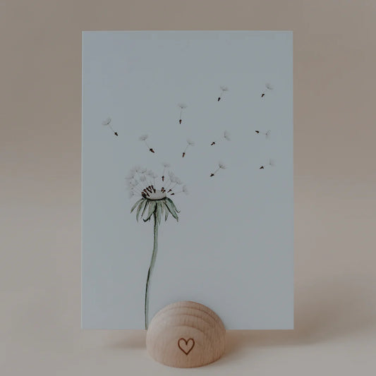 Postkarte Pusteblume