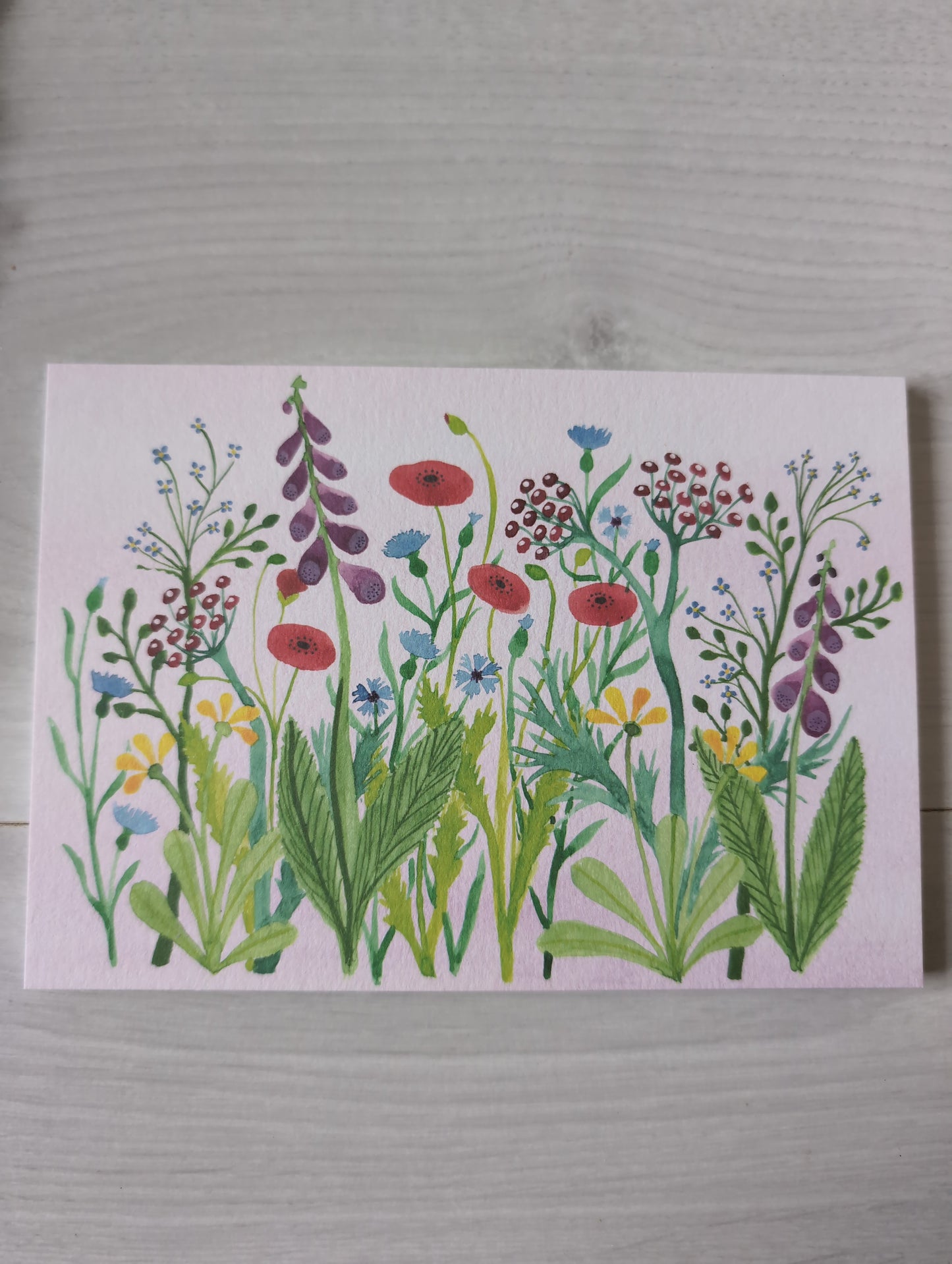 Postkarte "Blumenwiese"