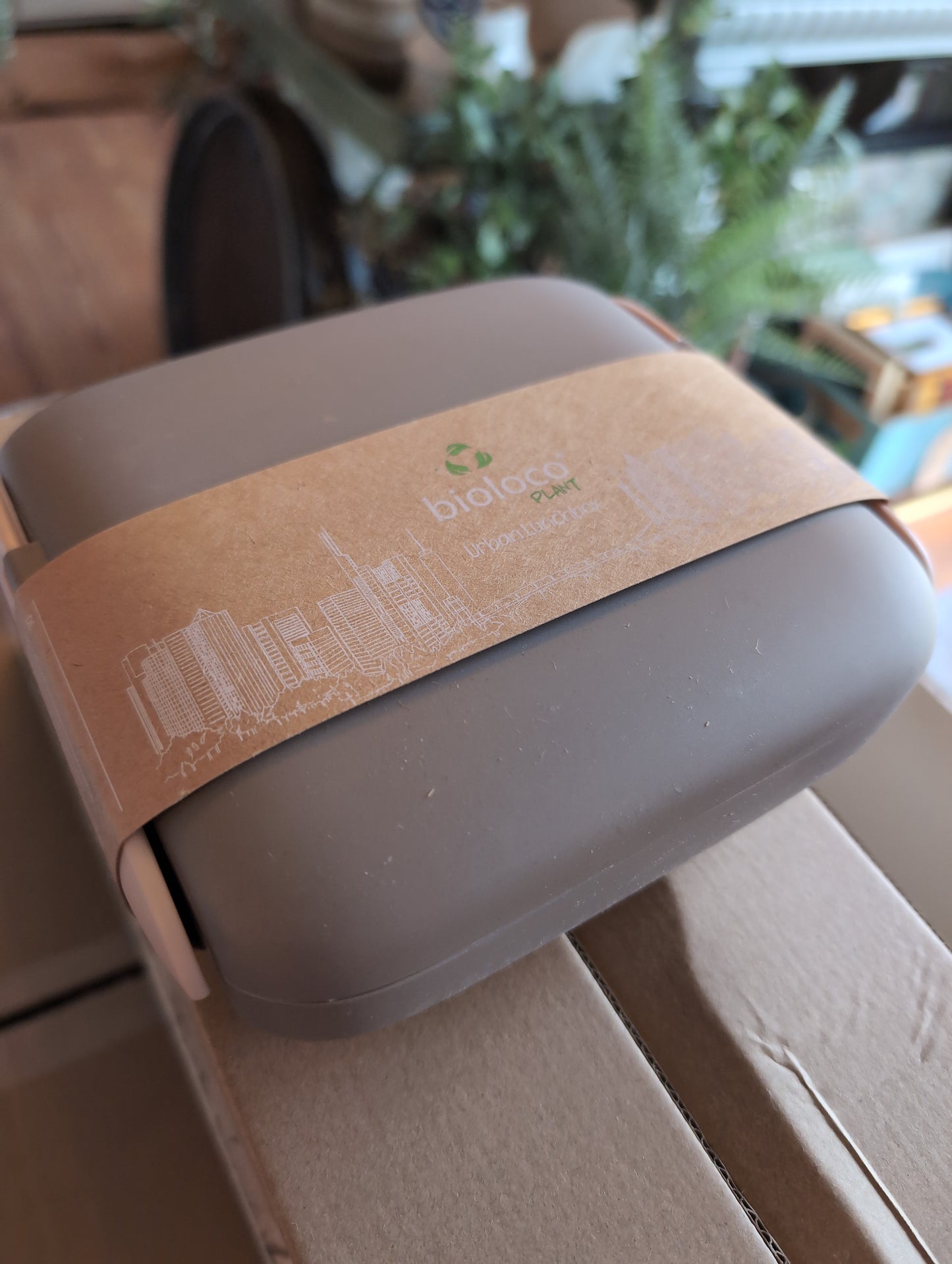 Brotdose / Urban Lunchbox square "Desert Rock"