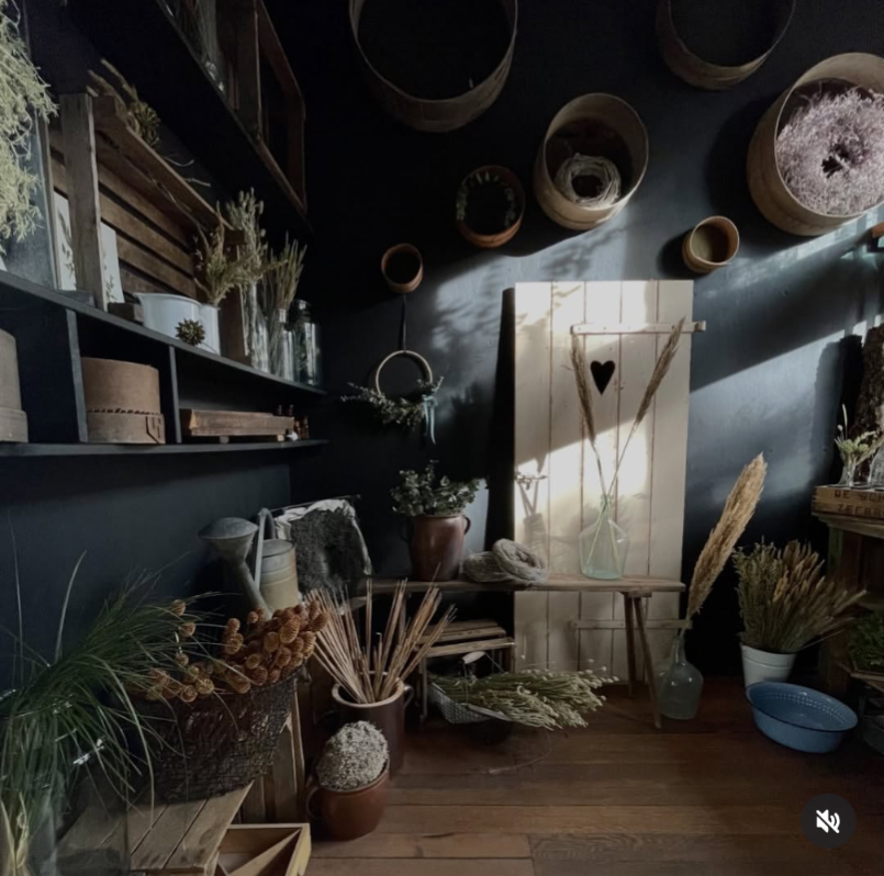 midnight black Matt Emulsion