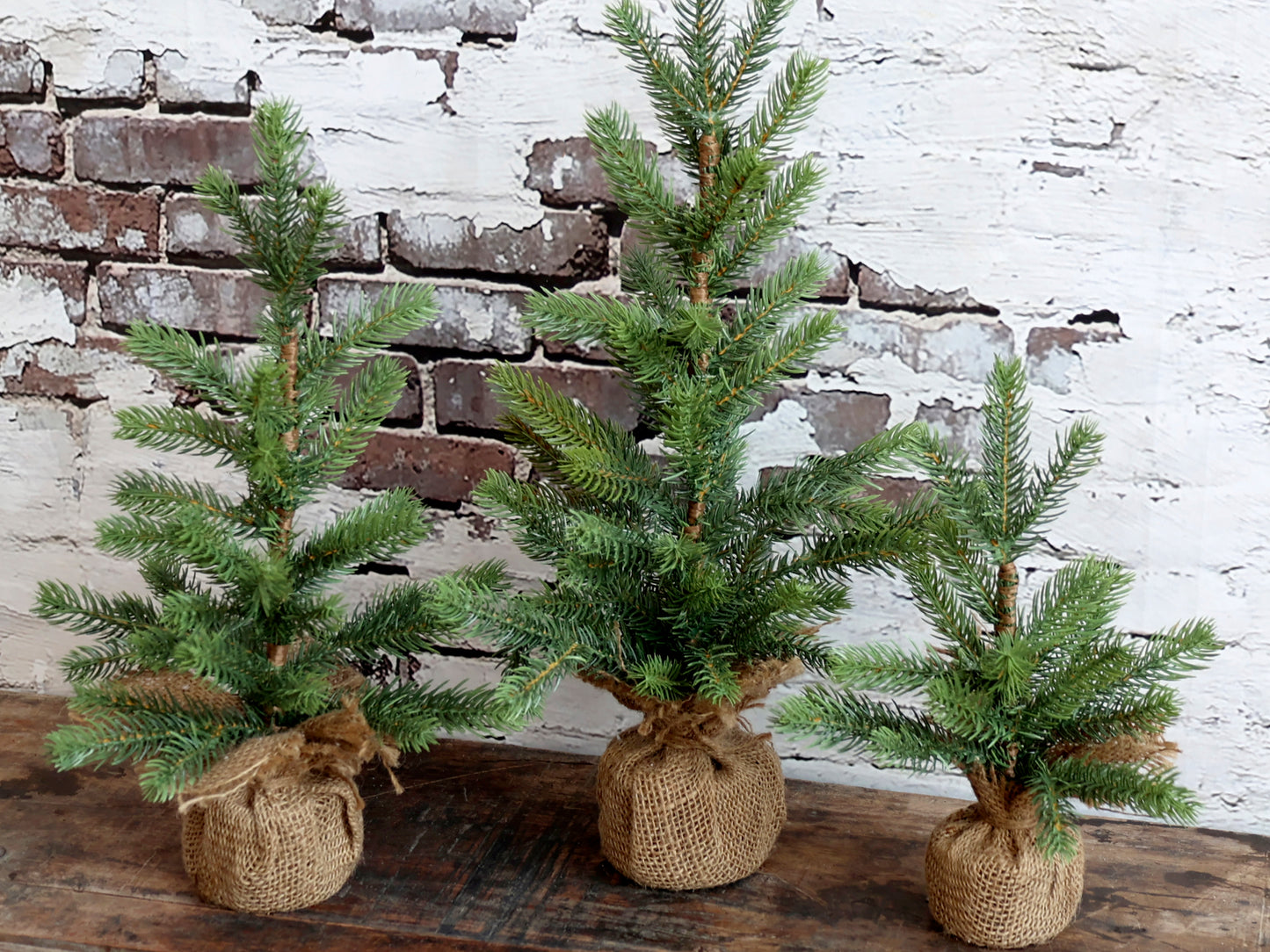 Tannenbaum