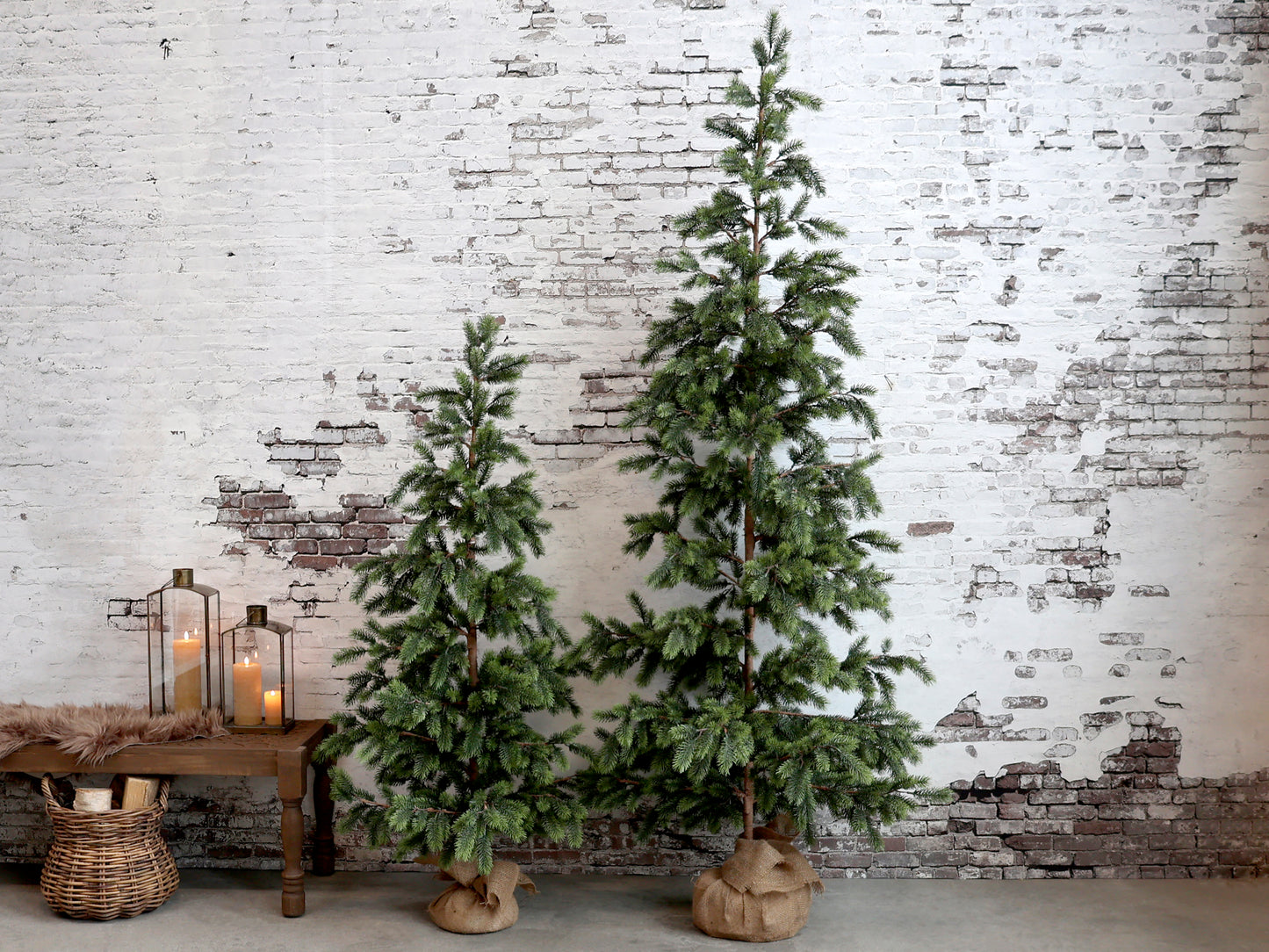 Tannenbaum