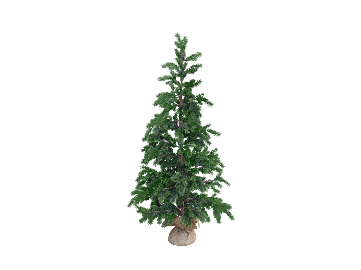 Tannenbaum