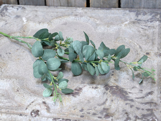 Kunstblume Eucalyptuszweig