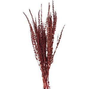 Trockenblumen