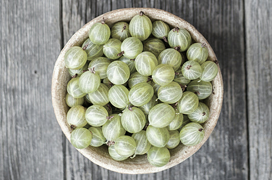 Gooseberry