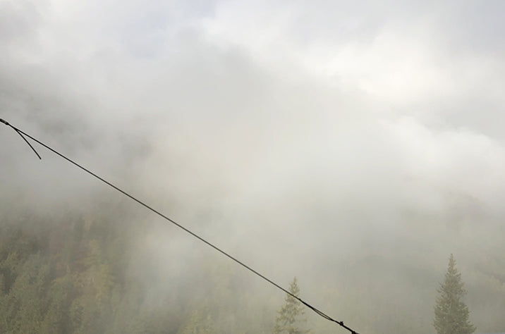 Mist
