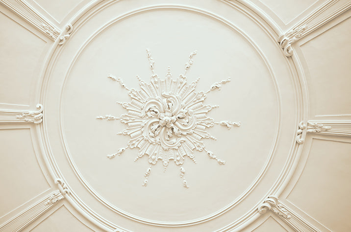 Rose White (wird zu WHITE NO. 5)