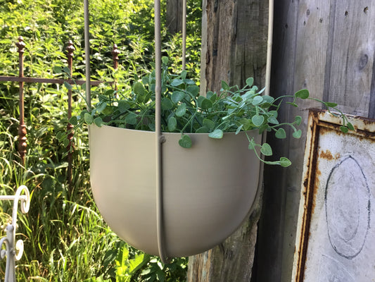 PflanzTopfHänger ClairBlanc, creme
