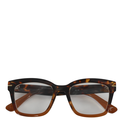 Brille / Lesebrille verschiedene Dioptrien