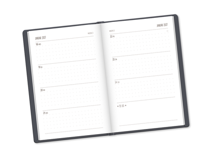 Terminkalender 2027 Lederlook Mut