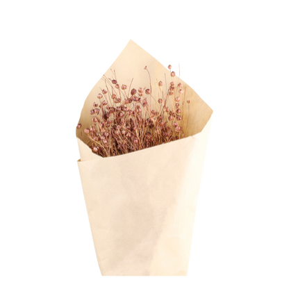 Trockenblumen Flachs taupe