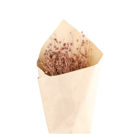 Trockenblumen Flachs taupe