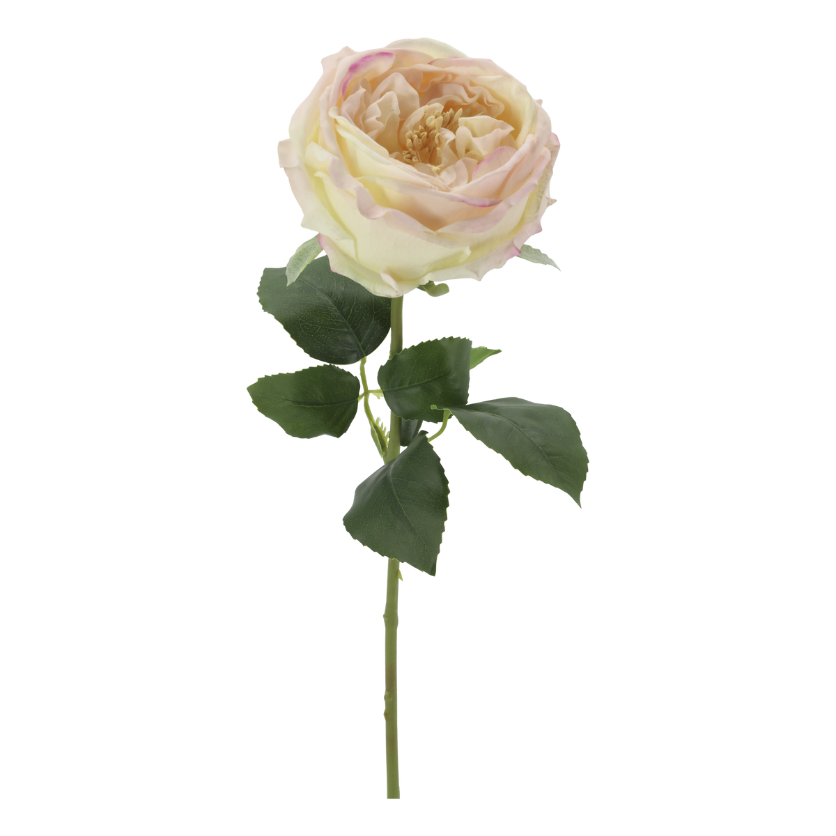 Kunstpflanze Rose Silk Touch