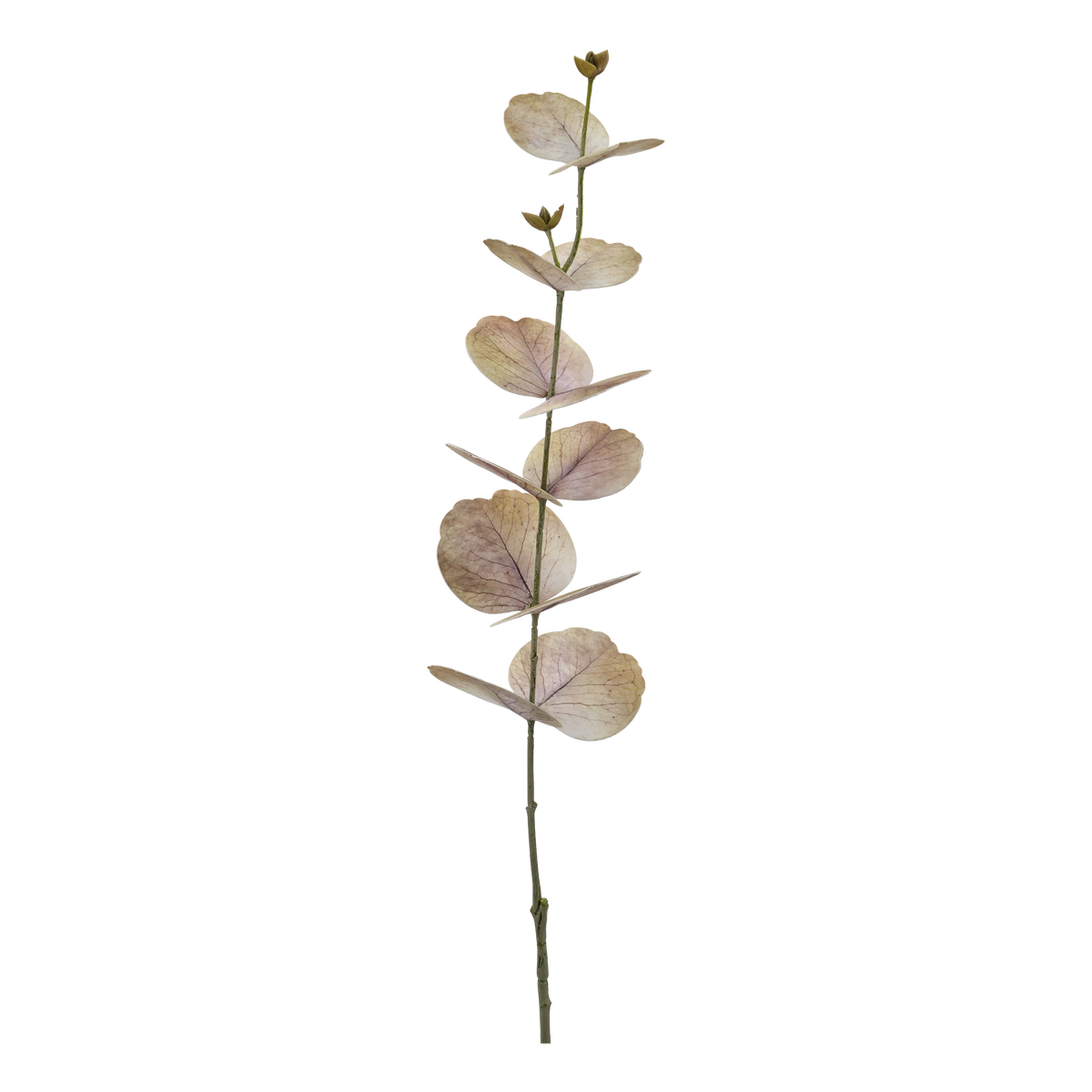 Kunstpflanze Eukalyptus Silk Touch