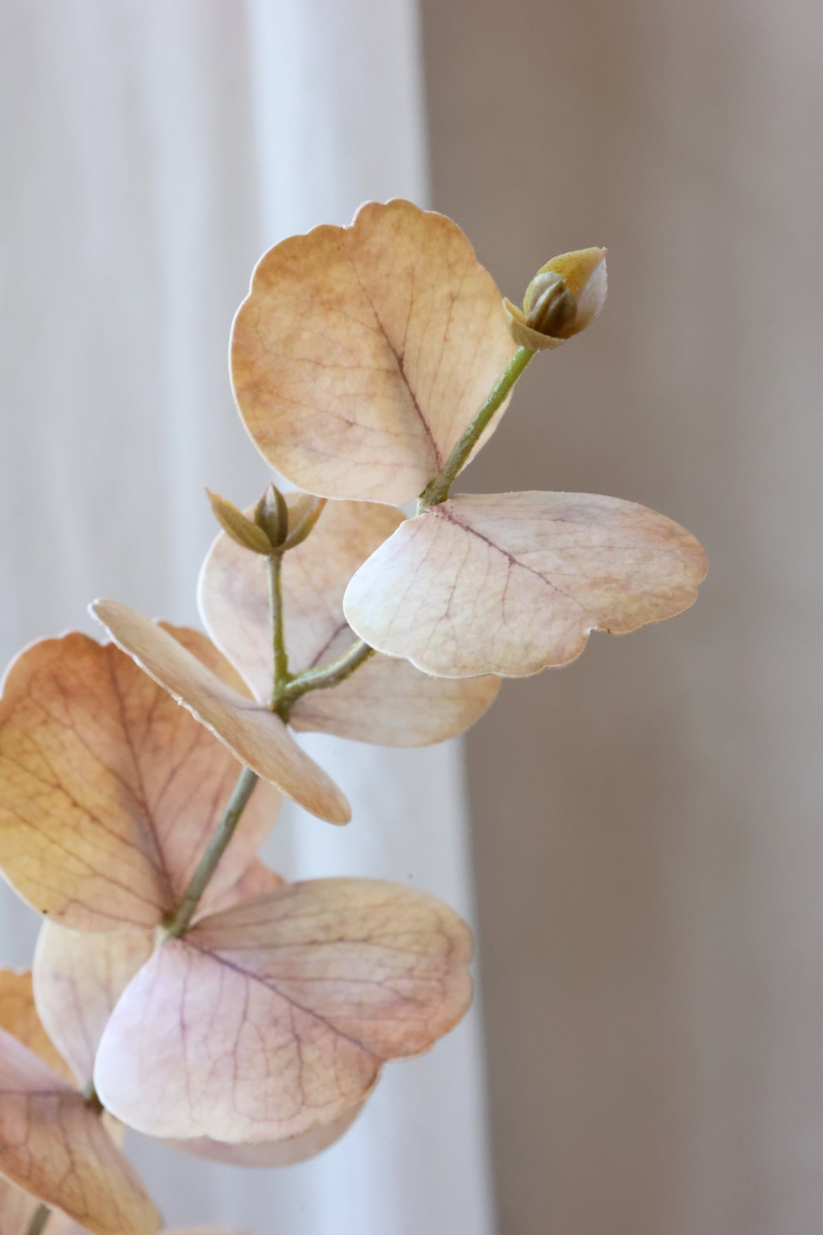 Kunstpflanze Eukalyptus Silk Touch
