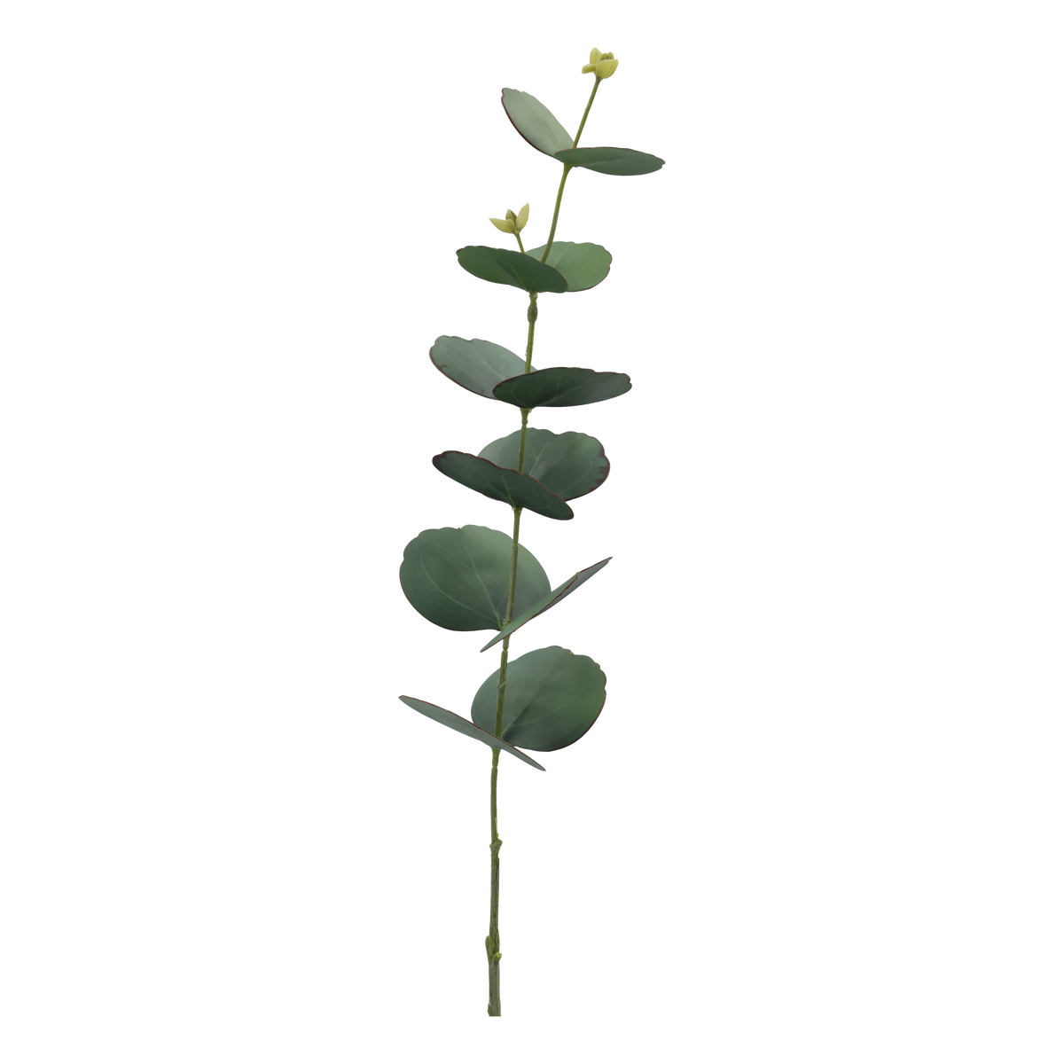 Kunstpflanze Eukalyptus Silk Touch grün