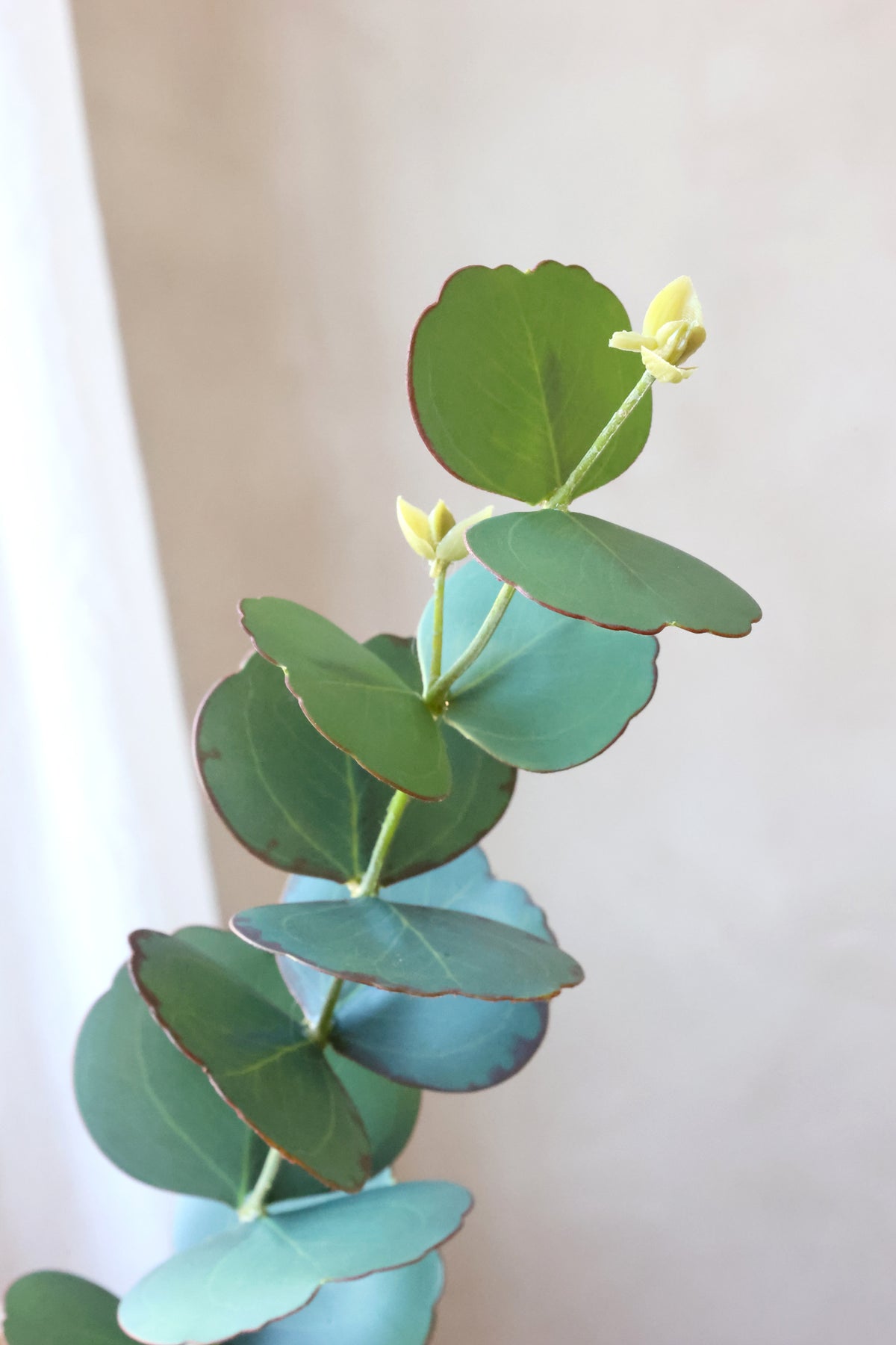 Kunstpflanze Eukalyptus Silk Touch grün