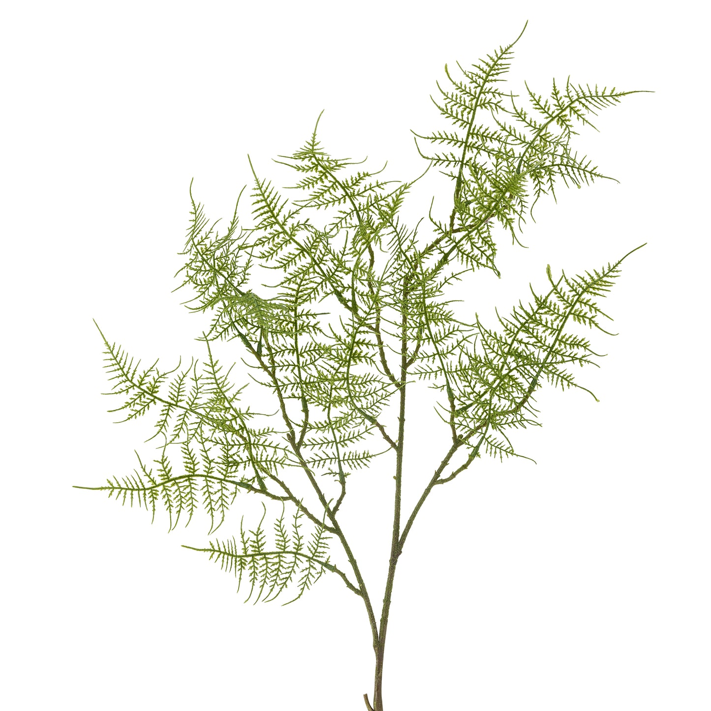 Kunstpflanze Fern