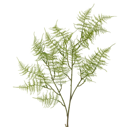 Kunstpflanze Fern