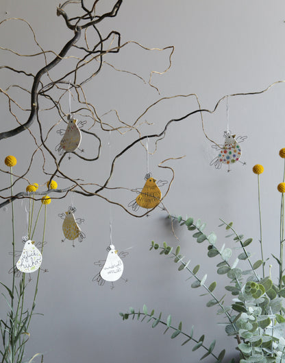 Crazy Chicks. Glücks Huhn