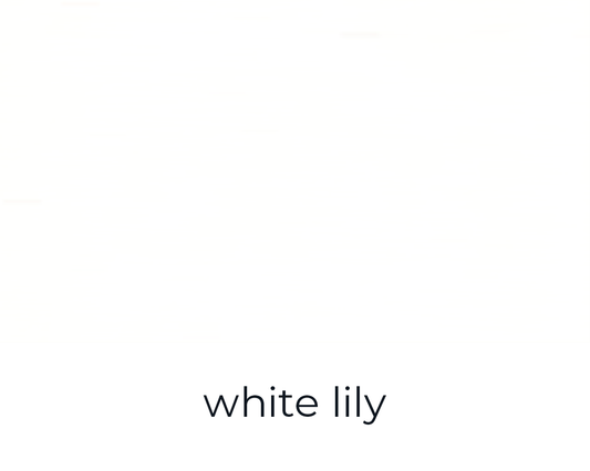 white lily