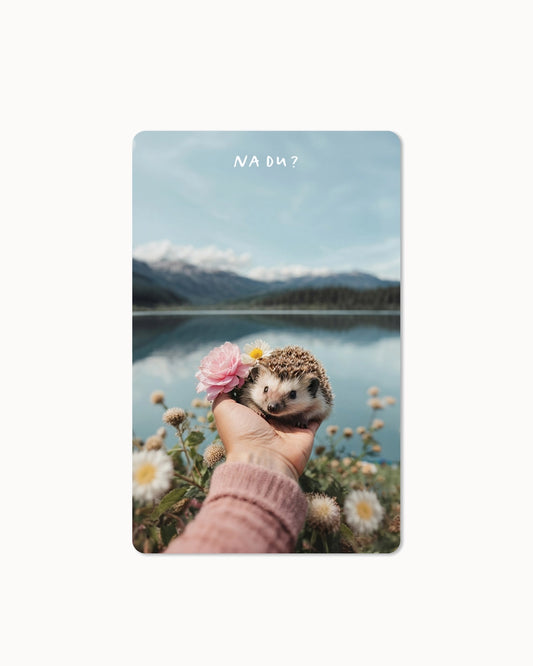 Lunacard Postkarte *Igel