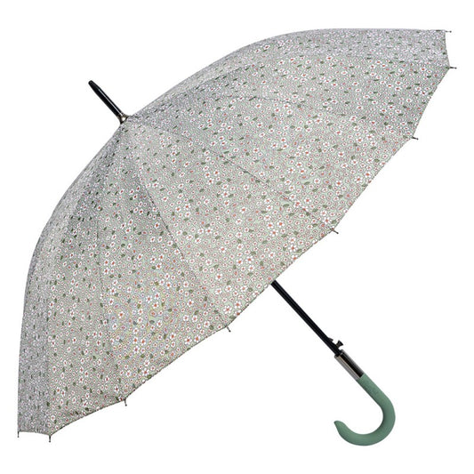 Regenschirm für Erwachsene Grün