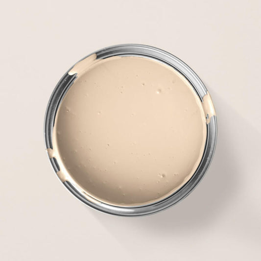 Apricot & heiter Little Pomp