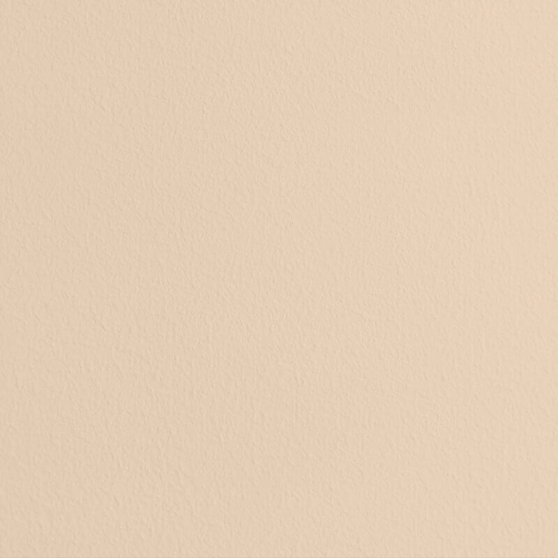Apricot & heiter Little Pomp