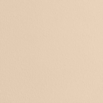 Apricot & heiter Little Pomp