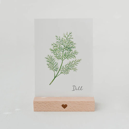 Postkarte Dill