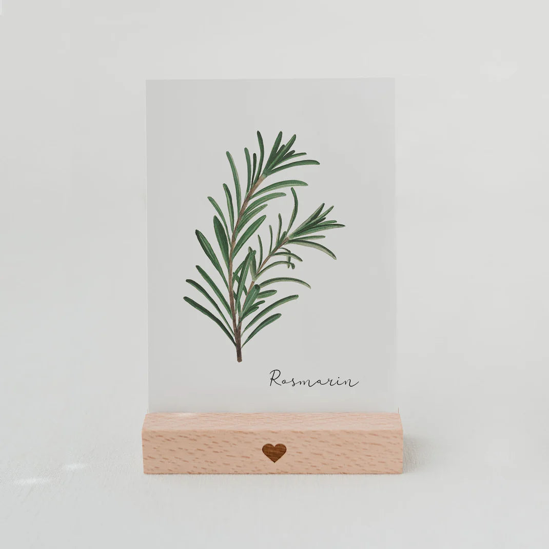 Postkarte Rosmarin