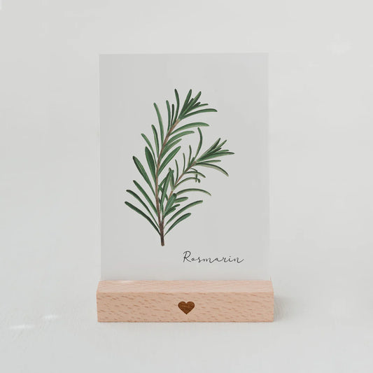 Postkarte Rosmarin