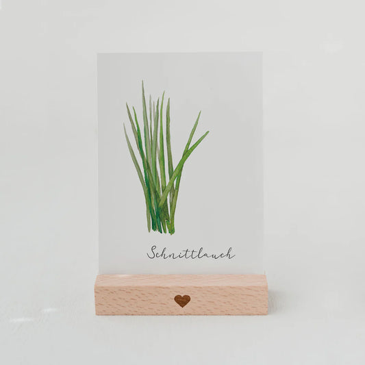 Postkarte Schnittlauch