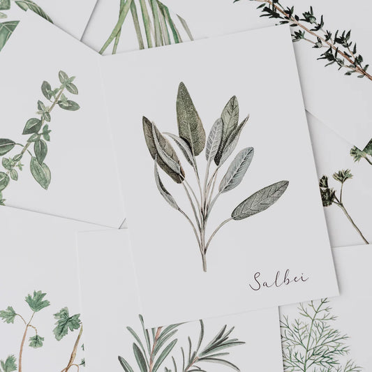 Postkarte Salbei