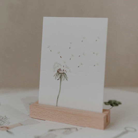 Postkarte Pusteblume