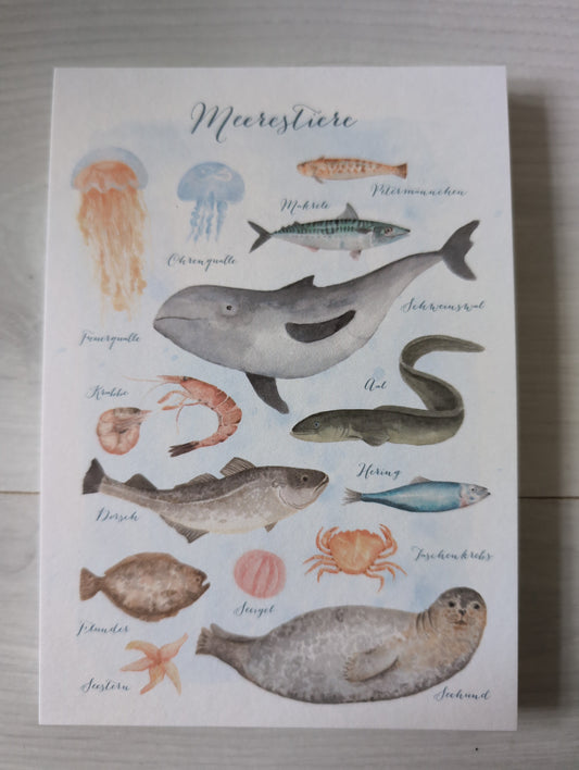 Postkarte "Meerestiere"