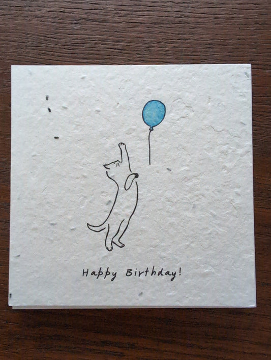 Einpflanzbare Grußkarte mit Umschlag HAPPY BIRTHDAY quadratisch Katze