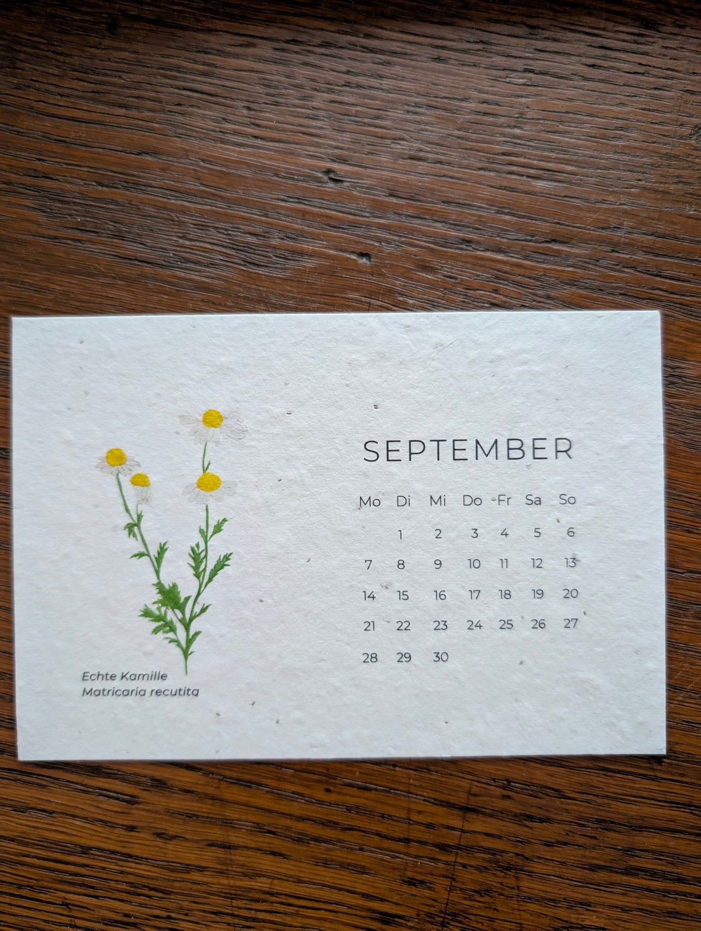 Einpflanzbarer Tisch-Kalender 2026